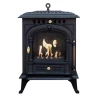 Bergen Cast Iron Bioethanol Fireplace by ScandiFlames, featuring a durable cast iron design with a warm, smoke-free flame.