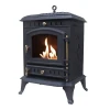 Molde Cast Iron Bioethanol Stove by ScandiFlames in black, featuring a sleek and durable cast iron design for clean-burning warm