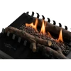 Planika Senso Basket bioethanol fireplace insert in black, featuring automatic operation and remote control.