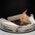 ScandiFlames Ceramics Birchwood 6 pcs. – Realistic birchwood-style ceramic logs for bioethanol fireplaces.