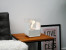 ScandiFlames white tabletop bioethanol fireplace made of steel, featuring a sleek and modern design.