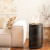 Planika Mandala bioethanol fireplace in black, a stylish floor-standing model with a 1.5L capacity and 3.5-hour burn time.